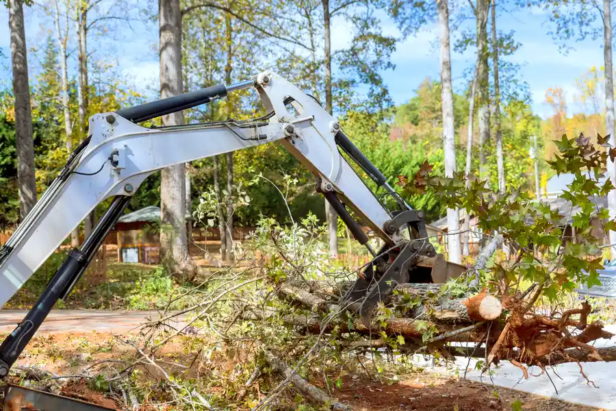 Professional Land Clearing Manchester NH