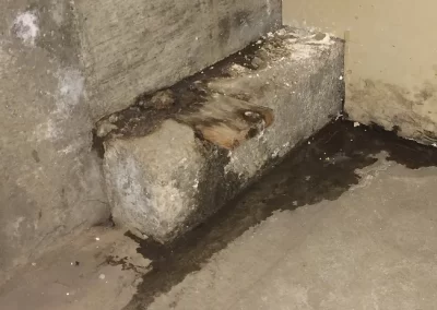 Exceptional Site & Sub-Division Work